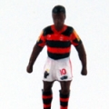 Flamengo (2012/13)